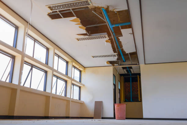 Best Water damage repair service  in Russell, KS