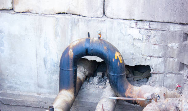 Best Mold removal after water damage  in Russell, KS
